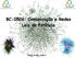 BC-0506: Comunicação e Redes Leis de Potência