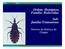 Ordem: Hemiptera Família: Reduviidae Subfamília:Triatominae
