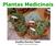 Plantas Medicinais. Josefina Dorotéa Nunes Bióloga e Técnica de Enfermagem