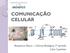 COMUNICAÇÃO CELULAR. Bioquímica Básica Ciências Biológicas 3º período Cátia Capeletto