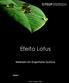 Efeito Lotus. Mestrado em Engenharia Química QUI601