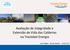 Avaliação de Integridade e Extensão de Vida das Caldeiras na Tractebel Energia