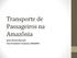 Transporte de Passageiros na Amazônia. Karlo Patrick Bannach Vice-Presidente Travessias SINDARPA