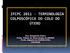 IFCPC 2011 - TERMINOLOGIA COLPOSCÓPICA DO COLO DO ÚTERO
