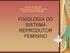 SAÚDE DA MULHER FACULDADE PITÁGORAS BETIM PROFª DANIELE REZENDE FISIOLOGIA DO SISTEMA REPRODUTOR FEMININO