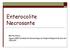 Enterocolite Necrosante. Martha Vieira Agosto 2004-Unidade de Neonatologia do Hospital Regional da Asa Sul /SES/DF