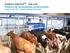 Sistema Optimat TM - DeLaval Sistema de alimentação automatizado Sergio Toledo Filho - Solution Manager Ruminant. Internal