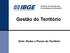 Diretoria de Geociências Coordenação de Geografia. Gestão do Território. Série: Redes e Fluxos do Território