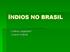 ÍNDIOS NO BRASIL. Cristina Langendorf Luciana Catardo