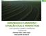 AGRONEGÓCIO CANAVIEIRO SITUAÇÃO ATUAL E PERSPECTIVAS LUIZ CARLOS CORRÊA CARVALHO CANAPLAN EVENTO STAB, CANA CRUA ESALQ/USP, 02/10/13