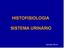 HISTOFISIOLOGIA SISTEMA URINÁRIO