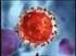 Conhecendo o vírus v. Vírus da Imunodeficiência Humana VIH