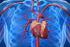 O papel da intervenção coronária percutânea no tratamento da angina estável e isquemia silenciosa