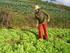 Modos de Vida Rural e Agricultura Familiar