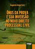 O ÔNUS DA PROVA E SUA INVERSÃO NO PROCESSO DO TRABALHO