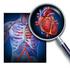 O EcoDopplercardiograma na Doença Hepática Crônica: Revisão Sistemática