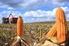 20. Agricultura: sempre uma safra de boas notícias Supersafra de grãos bate recorde