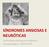 SÍNDROMES ANSIOSAS E NEURÓTICAS. Profª Melissa Rodrigues de Almeida Psicopatologia II DEPSI-UFPR