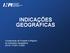 INDICAÇÕES GEOGRÁFICAS. Coordenação de Fomento e Registro de Indicações Geográficas DICIG / CGIR / COIND