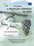 FICHA TÉCNICA. Título: A protecção integrada da vinha. Editor: Pedro Amaro. Edição: ISA/Press ISBN: 972-8669-12-7. Depósito legal: 212223/04