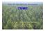 Teste de Uso Múltiplo Eucalyptus TUME. ESALQ Estações Experimentais IPEF Setor de Sementes Grupo Florestal Monte Olimpo