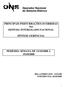 PRINCIPAIS PERTURBAÇÕES OCORRIDAS NO SISTEMA INTERLIGADO NACIONAL SÍNTESE GERENCIAL PERÍODO: SEMANA DE 13/10/2008 A 19/10/2008