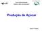 CENTRO DE CIÊNCIAS AGRÁRIAS. Curso de Pós-Graduação Gestão do Setor Sucroalcooleiro. Produção de Açúcar. Oscar F T Paulino