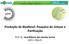 Produção de Biodiesel: Pesquisa de síntese e Purificação. Prof. Dr. José Ribeiro dos Santos Junior UFPI / CRQ-PI