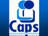 Competências e Processo de Trabalho nos CAPS CAPS I