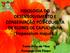 FISIOLOGIA DO DESENVOLVIMENTO E CONSERVAÇÃO PÓS-COLHEITA DE FLORES DE CAPUCHINHA (Tropaeolum majus L.) Tania Pires da Silva Fernando Luiz Finger