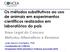 Os métodos substitutivos ao uso de animais em experimentos científicos realizados em laboratórios do país