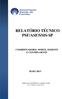 RELATÓRIO TÉCNICO PSF/ASF/SMS-SP