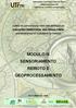 MÓDULO III SENSORIAMENTO REMOTO E GEOPROCESSAMENTO