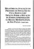 RELATORIO DA AVALIAÇÃO DO PROCESSO DE INOVAÇÕES NO CICLO BÁSICO E SEU IMPACTO SOBRE A SITUAÇÃO DO ENSINO-APRENDIZAGEM NA REGIÃO METFiOPOLITANA