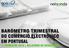 ACEPI/Netsonda Barómetro Trimestral do Comércio Electrónico em Portugal 1º Trimestre 2010. Página 1