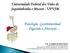 Universidade Federal dos Vales do Jequitinhonha e Mucuri - UFVJM. Fisiologia Gastrintestinal - Digestão e Absorção -