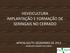 HEVEICULTURA IMPLANTAÇÃO E FORMAÇÃO DE SERINGAIS NO CERRADO APROB-GO/TO DEZEMBRO DE 2013 AGNALDO GOMES DA CUNHA