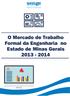 O Mercado de Trabalho Formal da Engenharia no Estado de Minas Gerais 2013 2014