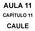 AULA 11 CAPÍTULO 11 CAULE