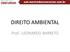 DIREITO AMBIENTAL. Prof.: LEONARDO BARRETO