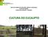 INSTITUTO FEDERAL DE EDUCAÇÃO, CIÊNCIA E TECNOLOGIA DO RIO DE JANEIRO CAMPUS NILO PEÇANHA - PINHEIRAL CULTURA DO EUCALIPTO