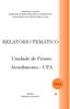 RELATÓRIO TEMÁTICO. Unidade de Pronto Atendimento - UPA