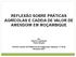 REFLEXÃO SOBRE PRÁTICAS AGRÍCOLAS E CADEIA DE VALOR DE AMENDOIM EM MOÇAMBIQUE
