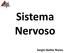 Sistema Nervoso. Sergio Ibañez Nunes