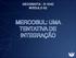 GEOGRAFIA - 3 o ANO MÓDULO 52 MERCOSUL: UMA TENTATIVA DE INTEGRAÇÃO