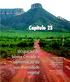 Capítulo 23. Ocupação do bioma Cerrado e conservação da sua diversidade vegetal