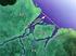 Problemas de navegação na Barra Norte do rio Amazonas Navigation Issues on the Amazon North Channel