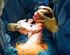 Resumo A indução do trabalho de parto tem se tornado prática corrente na Obstetrícia