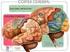Funções do Córtex Cerebral