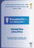 Universidade Federal do Rio Grande FURG. Instituto de Matemática, Estatística e Física IMEF Edital 15 - CAPES GEOMETRIA ANALÍTICA
